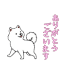 [ありがとうございます専用]サモエド（個別スタンプ：8）