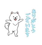 [ありがとうございます専用]サモエド（個別スタンプ：9）