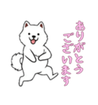[ありがとうございます専用]サモエド（個別スタンプ：10）