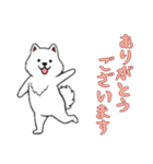 [ありがとうございます専用]サモエド（個別スタンプ：11）