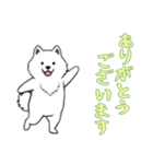 [ありがとうございます専用]サモエド（個別スタンプ：12）