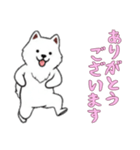 [ありがとうございます専用]サモエド（個別スタンプ：14）