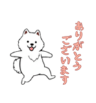 [ありがとうございます専用]サモエド（個別スタンプ：15）
