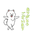 [ありがとうございます専用]サモエド（個別スタンプ：16）