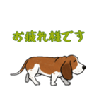 [お疲れ様です専用]バセットハウンド（個別スタンプ：1）