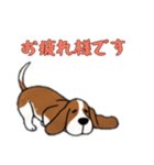 [お疲れ様です専用]バセットハウンド（個別スタンプ：4）