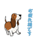 [お疲れ様です専用]バセットハウンド（個別スタンプ：5）