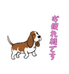 [お疲れ様です専用]バセットハウンド（個別スタンプ：6）