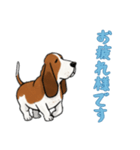 [お疲れ様です専用]バセットハウンド（個別スタンプ：7）