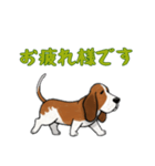 [お疲れ様です専用]バセットハウンド（個別スタンプ：11）