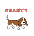 [お疲れ様です専用]バセットハウンド（個別スタンプ：12）