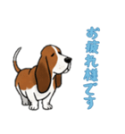 [お疲れ様です専用]バセットハウンド（個別スタンプ：13）