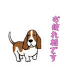 [お疲れ様です専用]バセットハウンド（個別スタンプ：14）