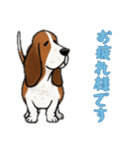 [お疲れ様です専用]バセットハウンド（個別スタンプ：15）