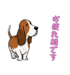 [お疲れ様です専用]バセットハウンド（個別スタンプ：16）