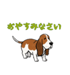 [おやすみなさい専用]バセットハウンド（個別スタンプ：1）
