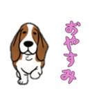 [おやすみなさい専用]バセットハウンド（個別スタンプ：3）