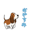 [おやすみなさい専用]バセットハウンド（個別スタンプ：4）