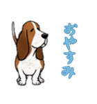 [おやすみなさい専用]バセットハウンド（個別スタンプ：5）