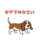 [おやすみなさい専用]バセットハウンド（個別スタンプ：12）