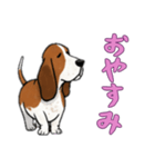 [おやすみなさい専用]バセットハウンド（個別スタンプ：13）