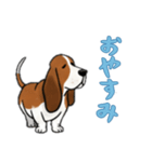 [おやすみなさい専用]バセットハウンド（個別スタンプ：14）