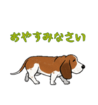 [おやすみなさい専用]バセットハウンド（個別スタンプ：15）