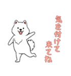 [気を付けて来てね専用]サモエド（個別スタンプ：5）
