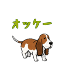 [オッケー専用]バセットハウンド（個別スタンプ：1）
