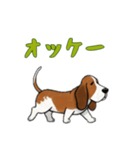 [オッケー専用]バセットハウンド（個別スタンプ：2）
