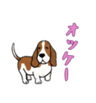 [オッケー専用]バセットハウンド（個別スタンプ：3）