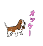 [オッケー専用]バセットハウンド（個別スタンプ：4）