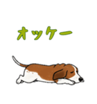 [オッケー専用]バセットハウンド（個別スタンプ：5）