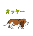 [オッケー専用]バセットハウンド（個別スタンプ：6）