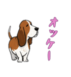 [オッケー専用]バセットハウンド（個別スタンプ：8）