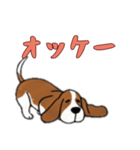 [オッケー専用]バセットハウンド（個別スタンプ：9）