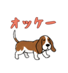 [オッケー専用]バセットハウンド（個別スタンプ：10）