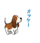 [オッケー専用]バセットハウンド（個別スタンプ：11）