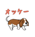 [オッケー専用]バセットハウンド（個別スタンプ：13）