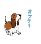 [オッケー専用]バセットハウンド（個別スタンプ：15）