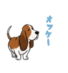 [オッケー専用]バセットハウンド（個別スタンプ：16）