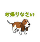 [お帰りなさい専用]バセットハウンド（個別スタンプ：4）