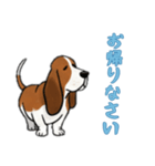 [お帰りなさい専用]バセットハウンド（個別スタンプ：6）
