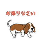 [お帰りなさい専用]バセットハウンド（個別スタンプ：8）
