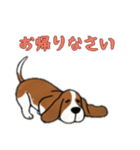 [お帰りなさい専用]バセットハウンド（個別スタンプ：9）