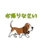 [お帰りなさい専用]バセットハウンド（個別スタンプ：10）
