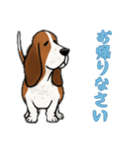 [お帰りなさい専用]バセットハウンド（個別スタンプ：11）