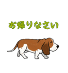 [お帰りなさい専用]バセットハウンド（個別スタンプ：15）