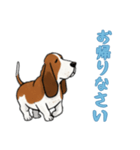 [お帰りなさい専用]バセットハウンド（個別スタンプ：16）