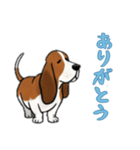 [ありがとう専用]バセットハウンド（個別スタンプ：1）